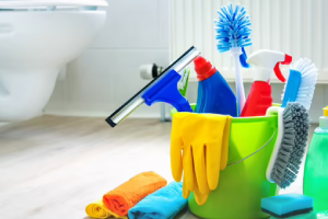 Messie Reinigung Aurich