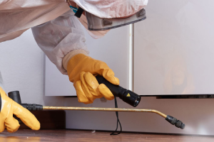 Messie Schädlingsbekämpfung Aurich